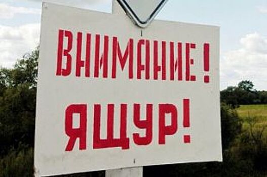 Власти Башкирии направят 50 млн рублей на компенсации и ликвидацию ущерба от ящура