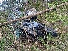 Полиция показала фото с места ДТП с SsangYong Kyron в Клепиковском районе