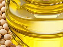 Сельхозатташе окажут содействие российским экспортерам масложировой продукции