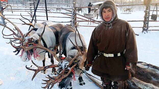 Увезу тебя я в тундру: в Когалыме гостей покатают на оленях, а в поселке Луговское покажут бивни мамонтов
