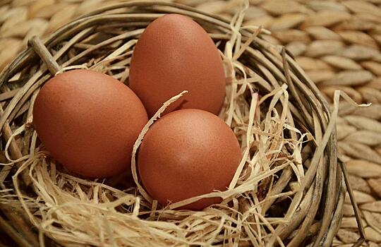 Во Владивостоке пресечена придорожная торговля куриными яйцами