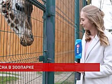 Ростовский зоопарк перешел на летний режим работы