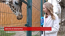 Ростовский зоопарк перешел на летний режим работы