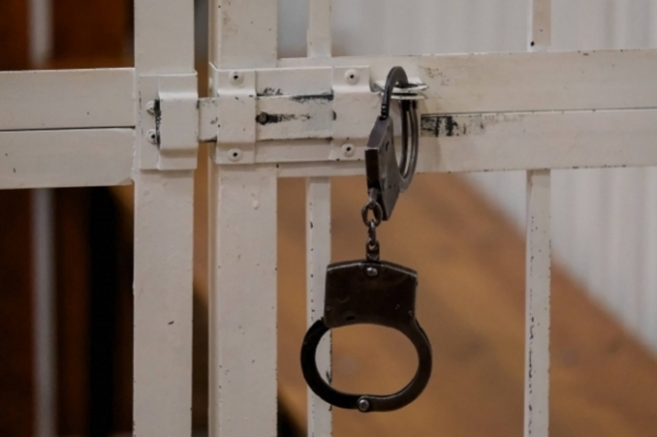 В Волгограде взяли под стражу подозреваемых в грабежах и избиении прохожих