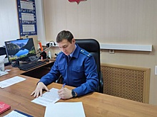 Рязанка оправдала траты из маткапитала странным чеком