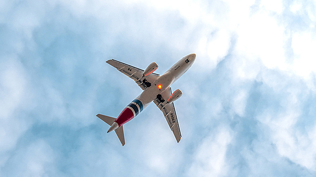 Самолет из Надыма при посадке в Тюмени из-за птиц ушел на второй круг