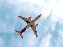 Самолет из Надыма при посадке в Тюмени из-за птиц ушел на второй круг