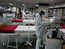 Nikkei: в Бельгии начнутся первые испытания японской вакцины против вируса Нипах