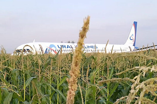 Севший на кукурузном поле самолет оказался никому не нужным