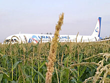 Севший на кукурузном поле самолет оказался никому не нужным