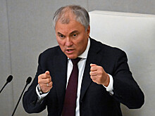 Володин высказался о защите детей от продукции, имитирующей алкоголь