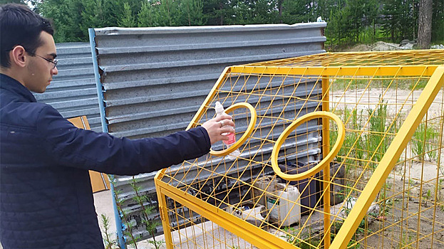 Без отходов: экопроект научит жителей Вынгапуровского сортировать мусор