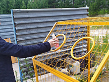 Без отходов: экопроект научит жителей Вынгапуровского сортировать мусор