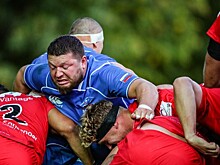 Регбисты попросили футболистов отомстить шотландцам