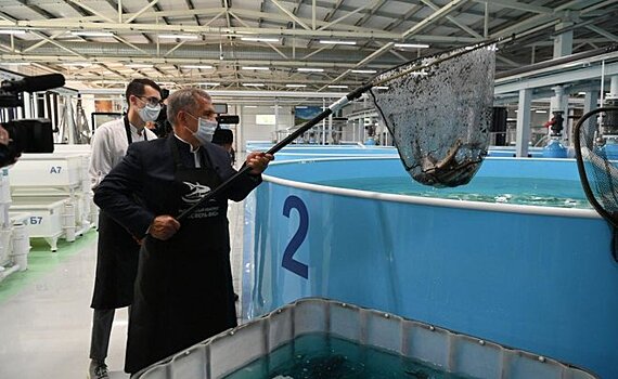 Минниханов открыл вторую очередь рыбоводного комплекса "Биосфера-Фиш"