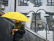 Москвичей предупредили об аномальном начале декабря