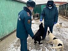 Пожарные Восточного округа Москвы посетили собачий приют