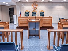 Турист ответил в суде за попытку убийства и нападение на полицейского в Сочи