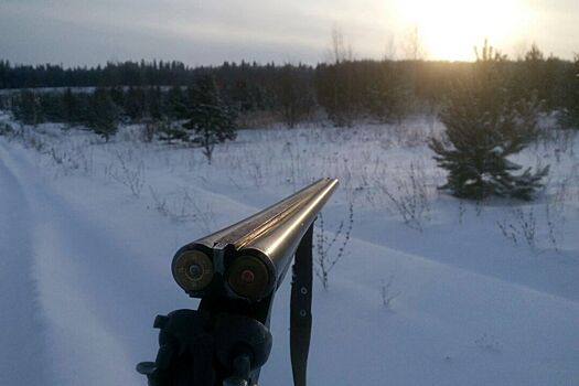 Кассационный суд отменил приговор охотникам в Удмуртии, осуждённым за незаконный оборот оружия