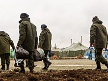В Новосибирской области отсрочку от мобилизации получили около 350 человек