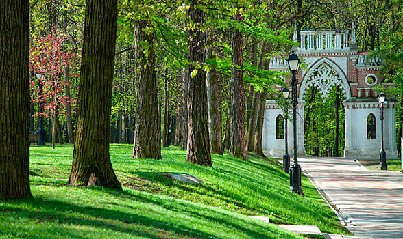 Власти Москвы ищут подрядчика для создания питомника в парке «Царицыно»