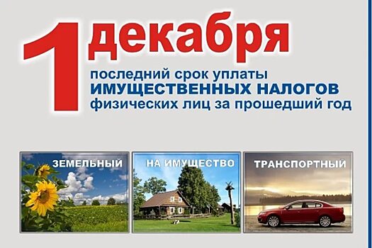 Александр Никитин поручил улучшить межведомственное взаимодействие в вопросе взыскания налоговых долгов