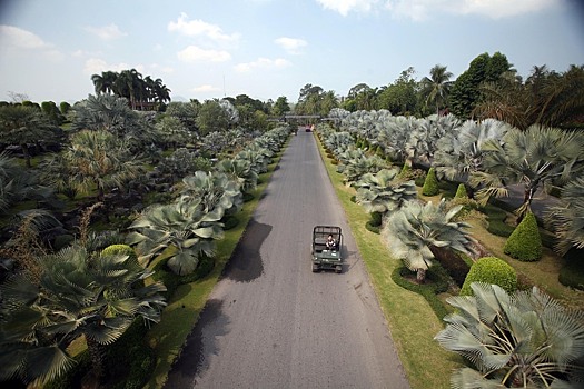 «Уедем в ближайшее время»: после расчленения петербуржца россияне спешно покидают Таиланд