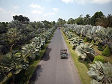 «Уедем в ближайшее время»: после расчленения петербуржца россияне спешно покидают Таиланд