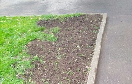 На улице Маршала Бирюзова восстановили газон