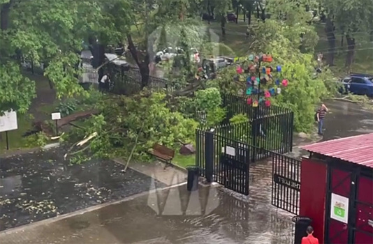 Последствия урагана в Москве попали на видео