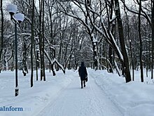 7 февраля пензенцы смогут отдохнуть от снегопадов