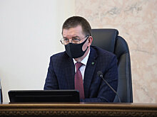 На Кубани господдержку смогут получить инвесторы-чаеводы со всей России