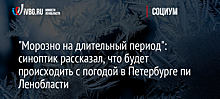 "Морозно на длительный период": синоптик рассказал, что будет происходить с погодой в Петербурге и Ленобласти