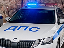 В Дубовском районе сотрудники ГИБДД провели акцию «Держи дистанцию»