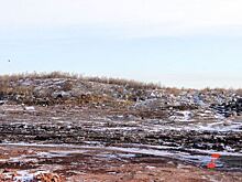 В Курганской области найдены две незаконные свалки