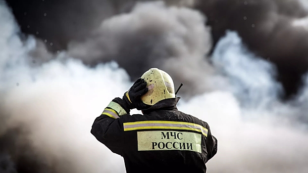 МЧС направило 100 спасателей на ликвидацию последствий ЧП в Рязанской области