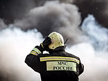 МЧС направило 100 спасателей на ликвидацию последствий ЧП в Рязанской области