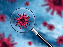 «Мутации будут и дальше»: врач — об испугавшем россиян штамме COVID-19 «йота»