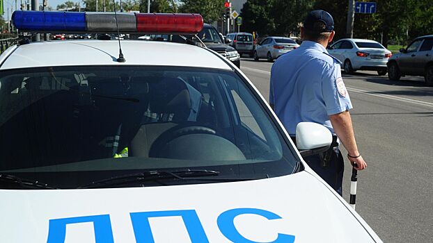 Полицейских уволили из-за доставки российской певицы в аэропорт на машине ГИБДД
