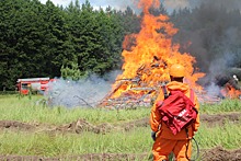 Лесники из Нижегородской области и Республики Марий Эл в ходе совместных учений отработали тактику и технику тушения лесных пожаров