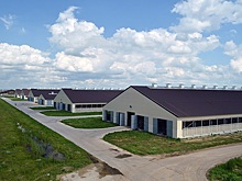 В Рязанской области крупный агрокомплекс получил интернет от «Ростелеком»