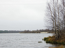 Стало известно, кто построит кафе на озере Лебяжье в Салехарде