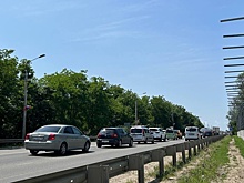 Компенсация за вырубку деревьев на Западном Обходе составила 200 млн рублей