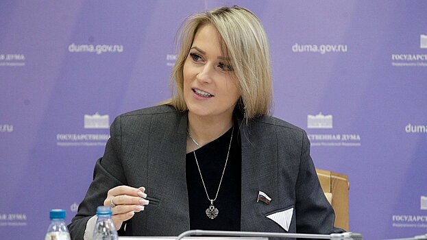 Госдума предлагает снизить наценку на авиабилеты в праздничные дни