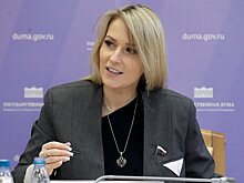 Госдума предлагает снизить наценку на авиабилеты в праздничные дни