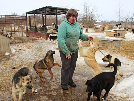 В Тверской области построят приют для бездомных животных