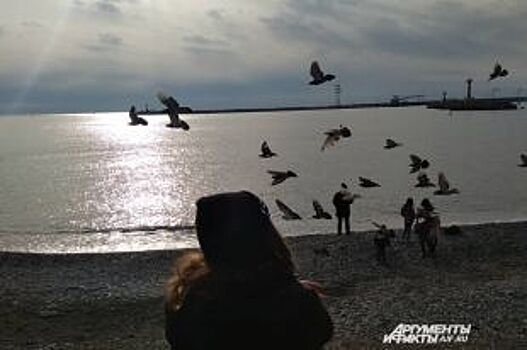 В продаже появились авиабилеты «Псков-Сочи»