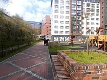 На Уральской и Карташева взамен срубленных при строительстве домов деревьев высадили десятки новых