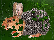 Биоконструктор для ученых: как используются методы "обратной" генетики