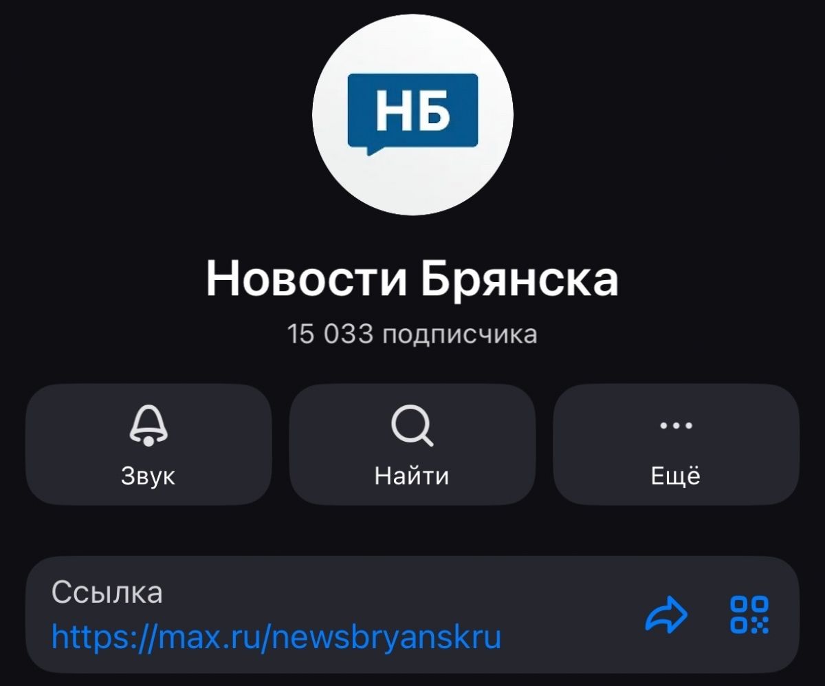 Аудитория "Новостей Брянска" в MAX преодолела отметку в 15 тысяч подписчиков